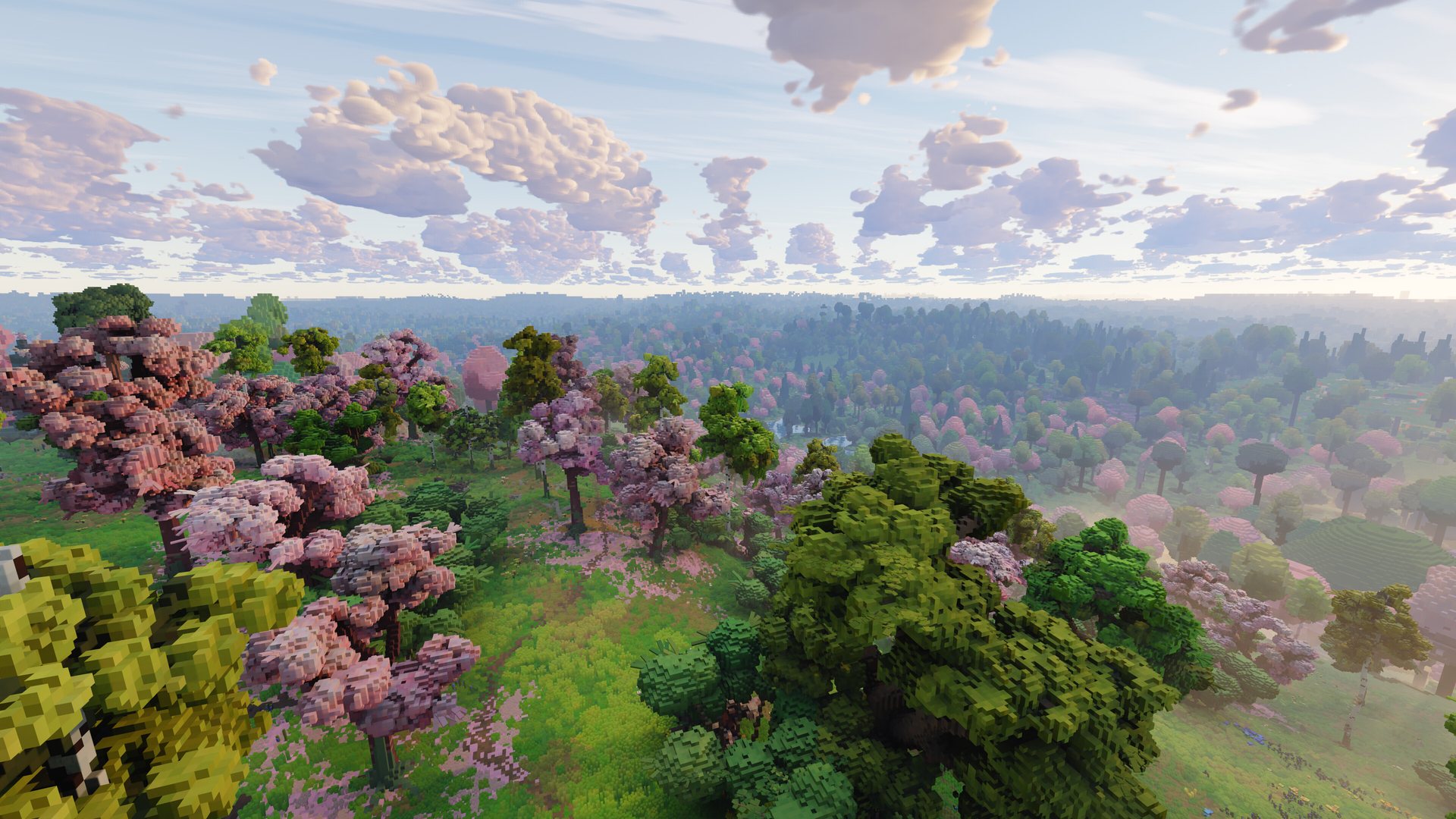 A blossoming forest seen from a hilltop